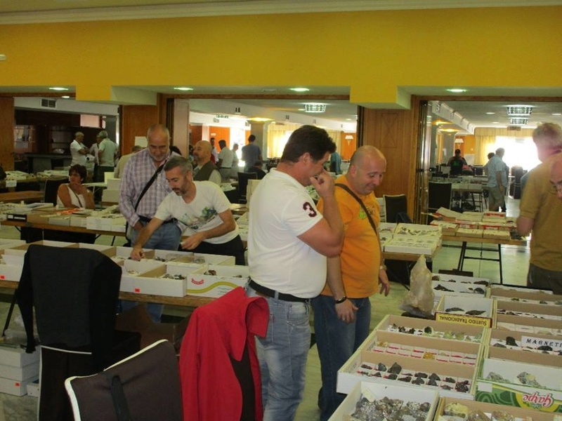 6ª Mesa de Minerales de Extremadura (Santa Marta - Badajoz) - Página 3 2464b610