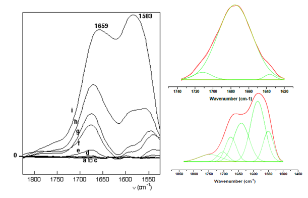 GLYCINE ON IRON OXYHYDROXYDES: IR SPECTROSCOPY 1_710