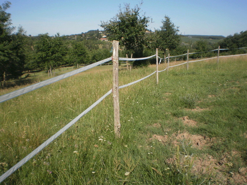 Journal des prairies 2.5 ha : au repos mais fatiguées - Page 4 He10