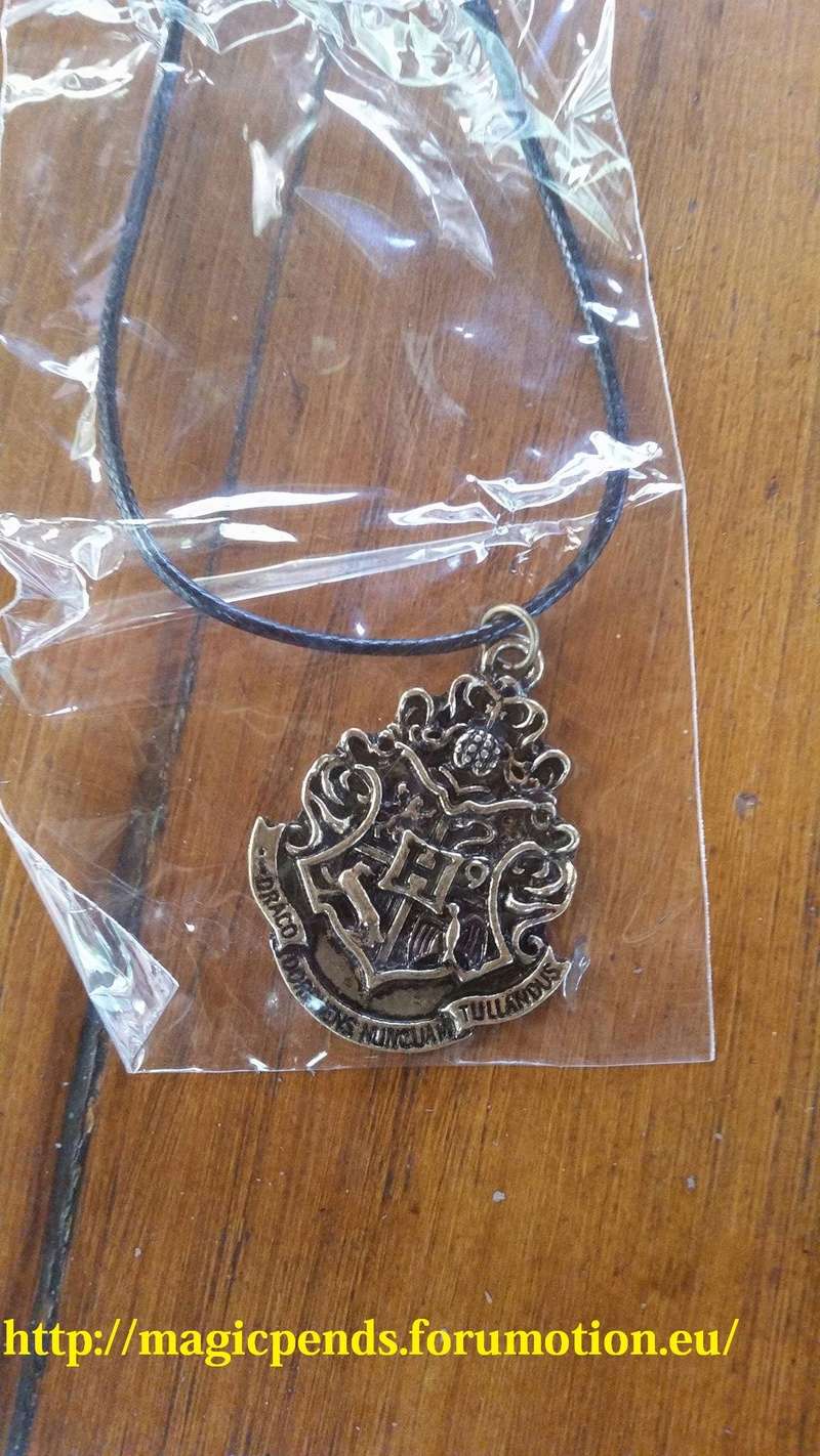 Harry Potter Hogwarts School of Witchcraft and Wizardry badge necklace  17475310