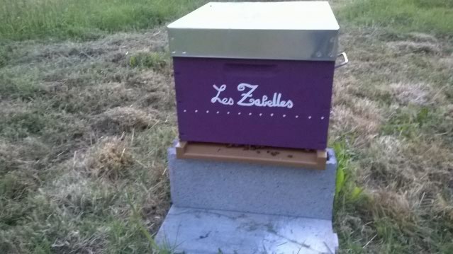 La ferme du Bio d'à côté. Zabell10