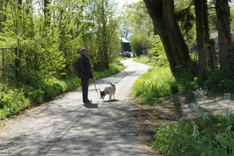 EDEN - Femelle croisée, taille moyenne née env 2013 (PASCANI) - REMEMBER ME LAND- adoptée  par liliane(Belgique) - DECEDEE - Page 2 Dsc08919