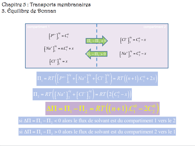 Équilibre de Donnan Captur10