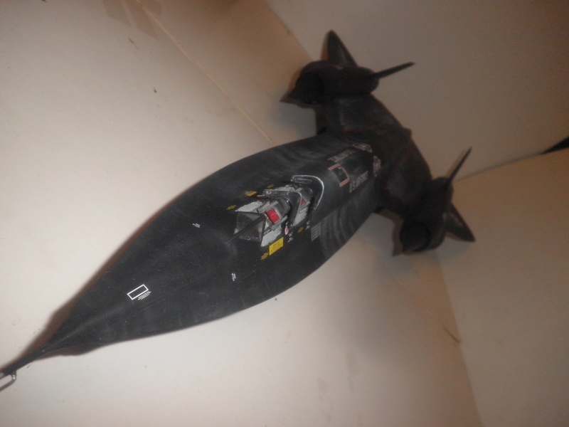 SR-71 Blackbird 1/48 Italeri/Testors P1010037