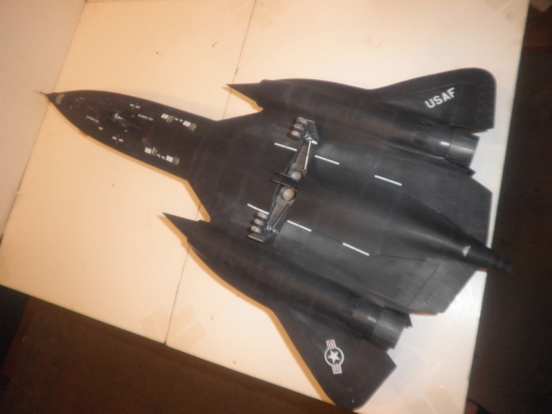 SR-71 Blackbird 1/48 Italeri/Testors P1010040