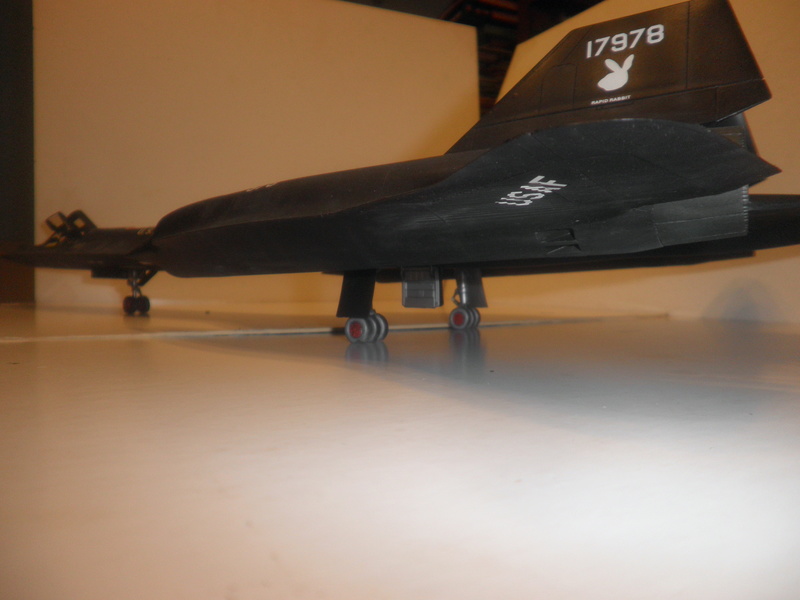 SR-71 Blackbird 1/48 Italeri/Testors P1010042