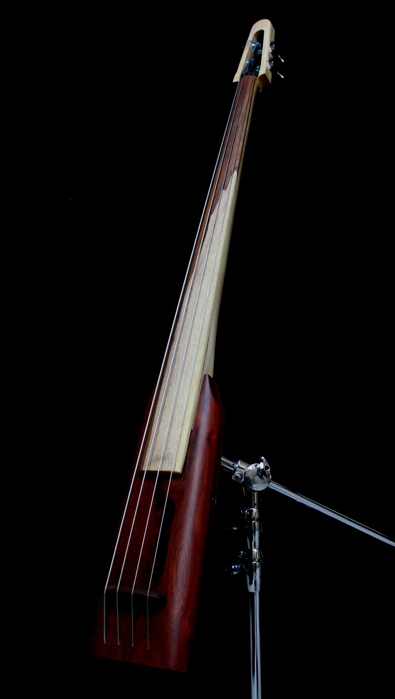 Baby Bass de Luthier Img_0715