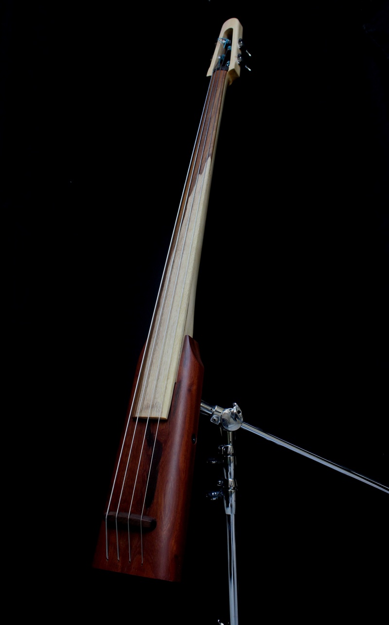 Baby Bass de Luthier Img_0717