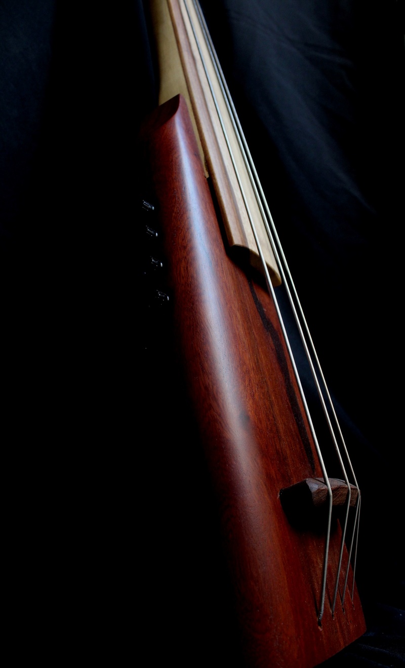 Baby Bass de Luthier Img_0719