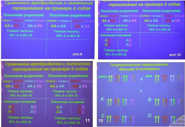 Контроль наследственных заболеваний у собак Control of Canine Genetic Disease Н.Масленникова 2314310