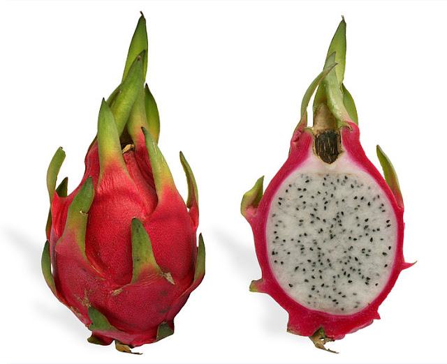 Dragon Fruit! Dragon10