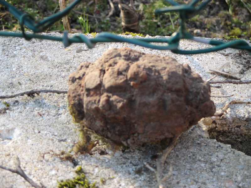 grenade trouvée dans le jardin Img_2610