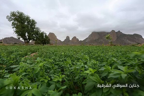 موضوع متواصل عن وجه السودان السياحي  - صفحة 4 Fb_img22