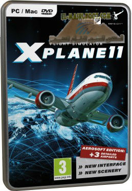 اليكم X Plane 11 Global Scenery DLC 11010