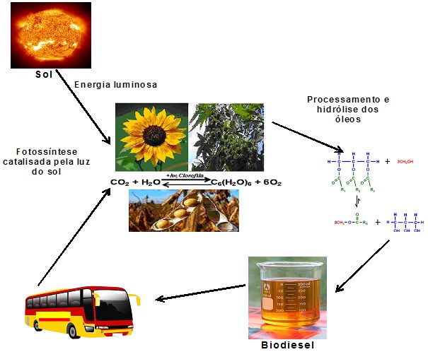 Transportes Sustentaveis Ciclo-10