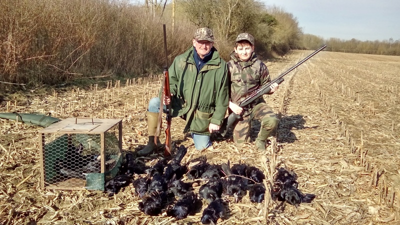 Régulation de corvidés acte2 5mars210