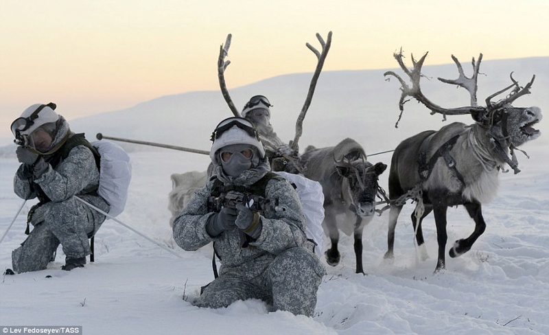 On guard at the poles 3f5c5411