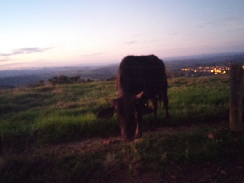 Parque Norte Voo Livre Gaurama 20150611