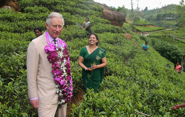 Sri Lanka: Queen Elizabeth 2's son Prince Charles increased Dr. Chris Nonis' Agalawatte Losses by 10%, Damro to now bear losses up to Rs.3.3 Bn owed to Banks Prince11