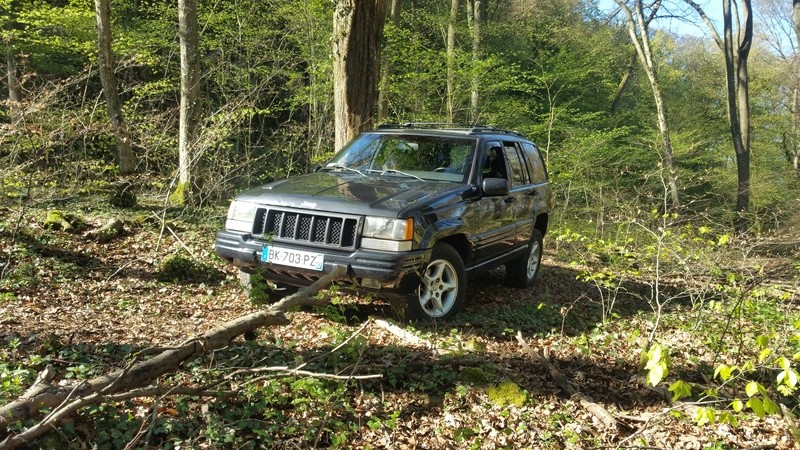 Un ZJ sur la frontière ALLEMANDE 20170410
