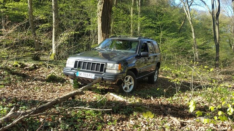 Un ZJ sur la frontière ALLEMANDE  20170410