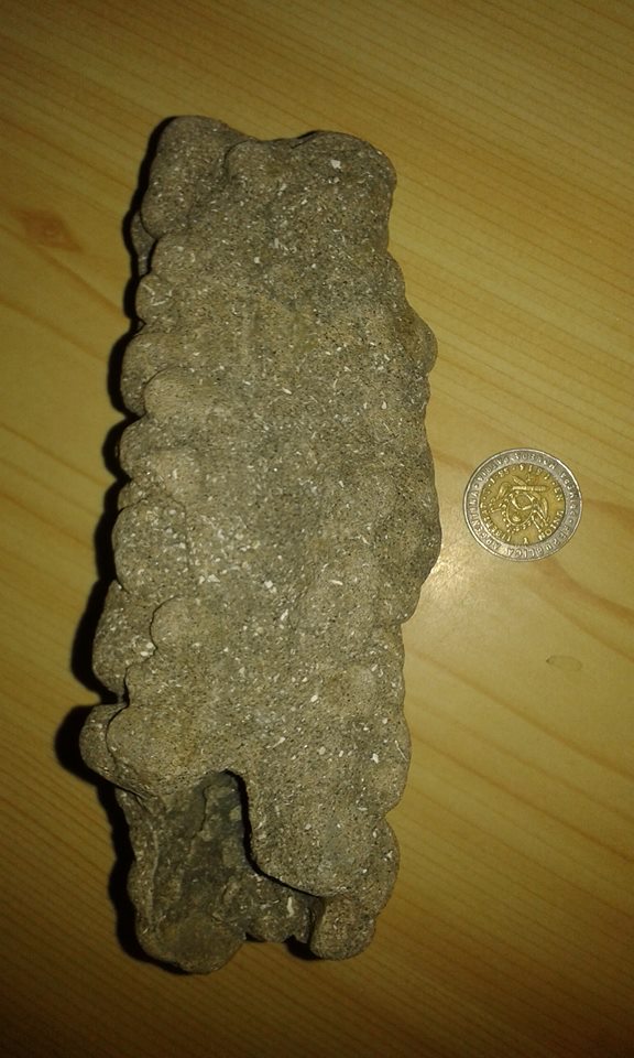No es un fosil...Pero,que genera estas formaciones? 18921610