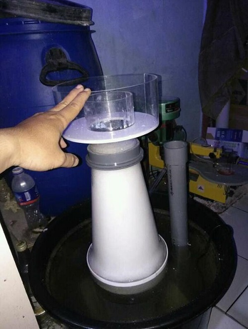 Produk Starreef Img-2016