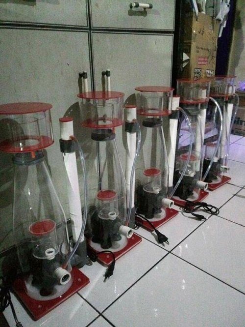 Produk Starreef Img-2019
