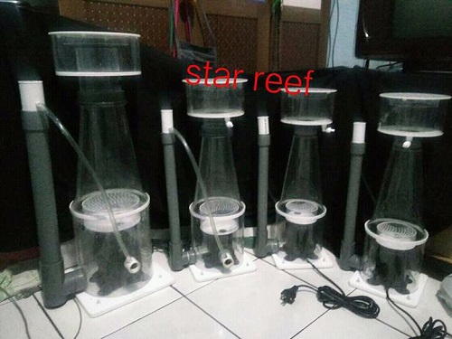 Produk Starreef Img-2023