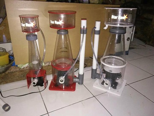 Produk Starreef Img-2026