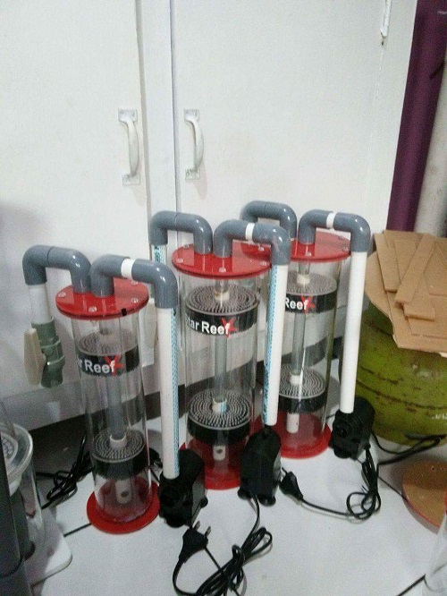 Produk Starreef Receiv12