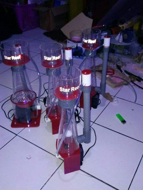 Produk Starreef Receiv14