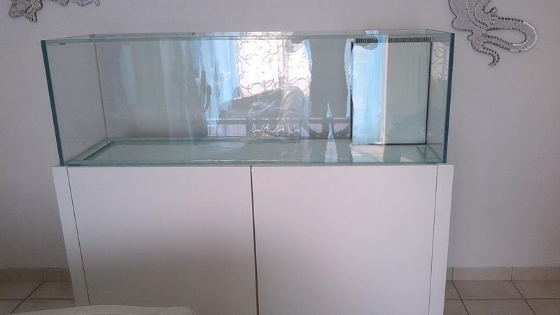 aquarium 300l Img_2025