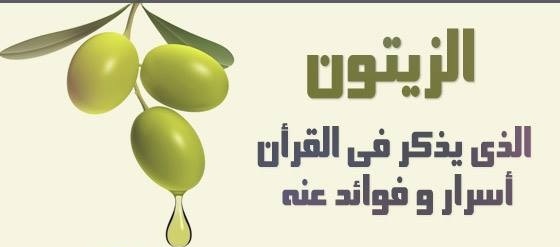 افضل فوائد الزيتون الاخضر والاسود 380