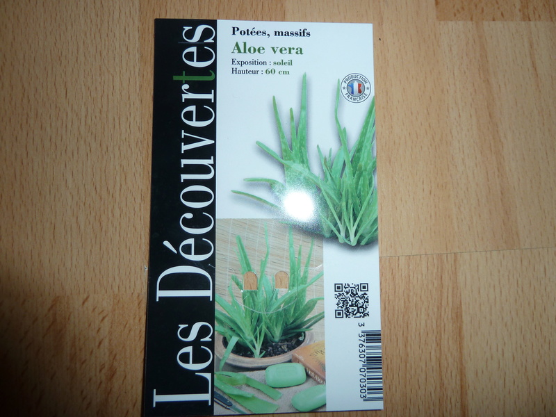 mon aloe vera P1020323