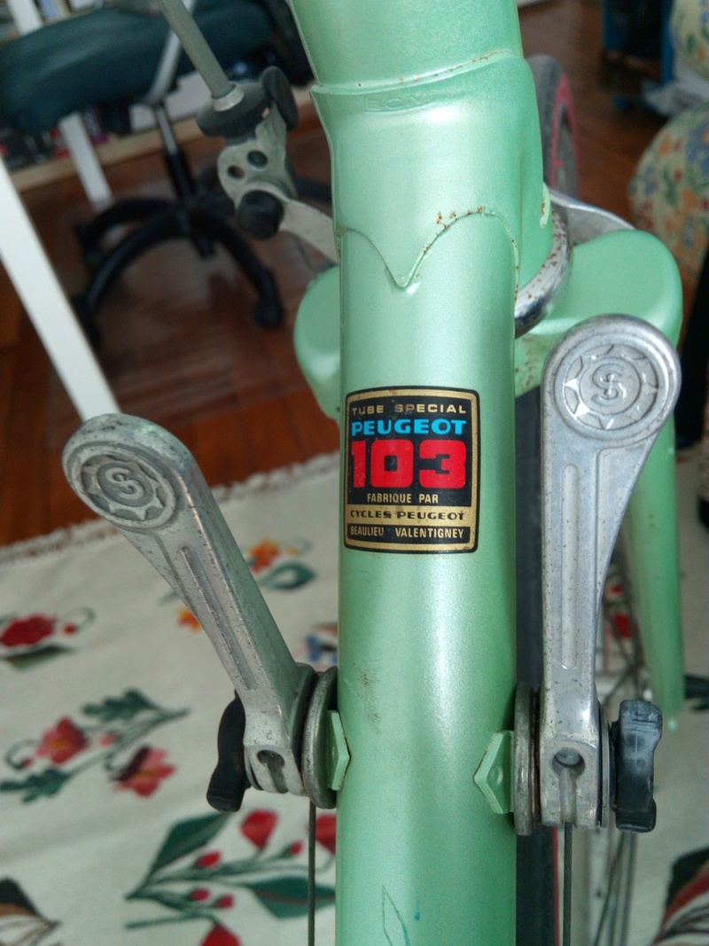 PBN10 T60 Peugeot course - Quelle Annee ? Img_2015