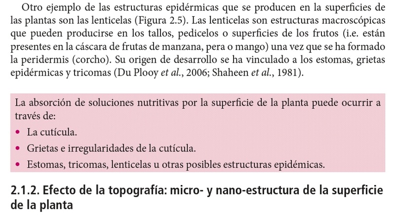 Conceptos y discusión de la fertilización foliar Screen12