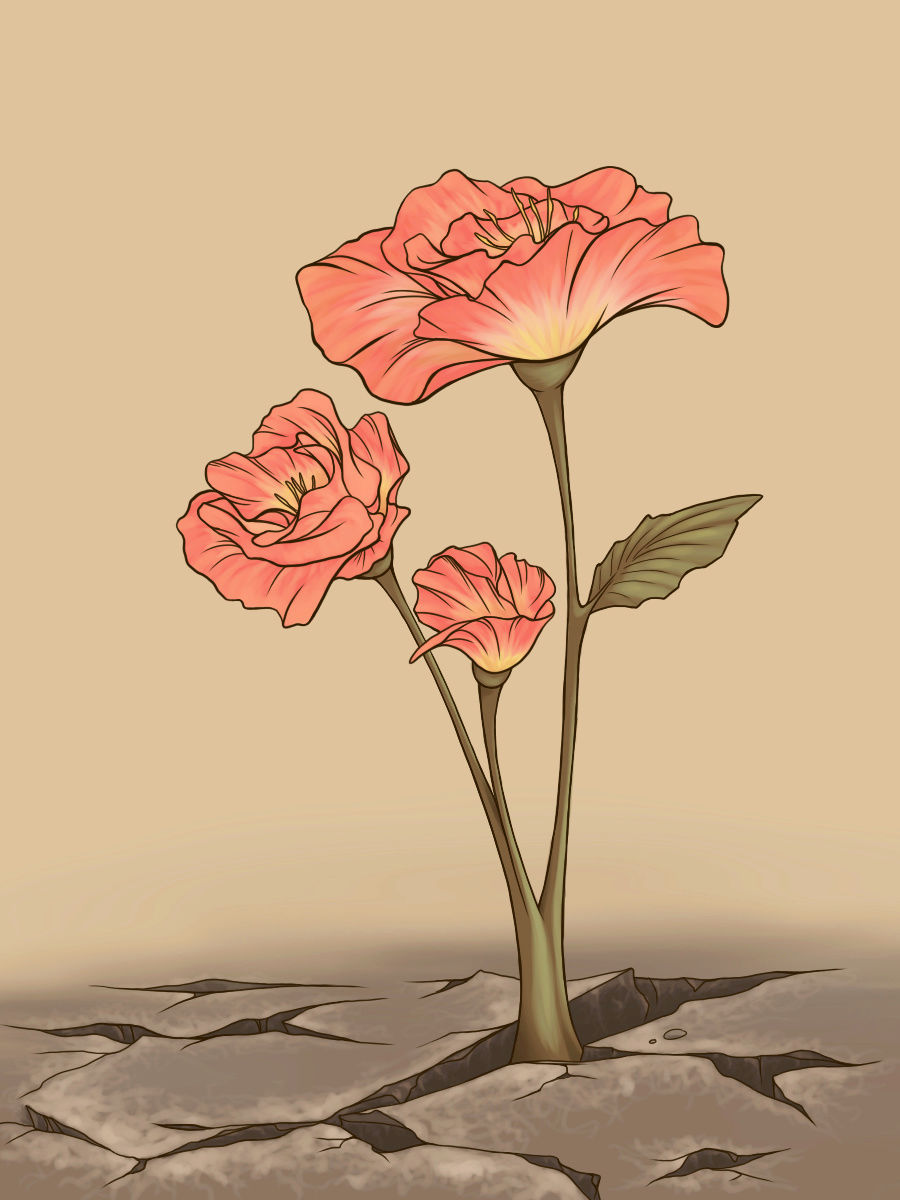 Fleur désertique Fleur_10