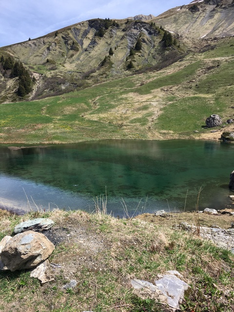Descente des Alpes mai 2017 Img_1151