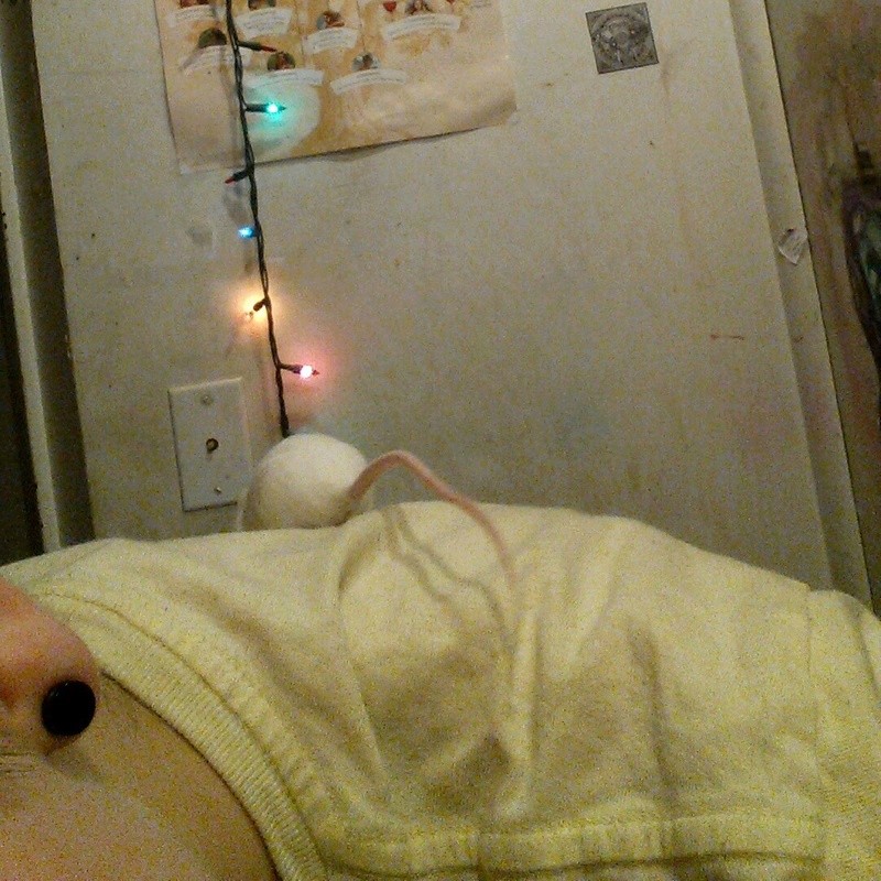 Henlo! Chedda17