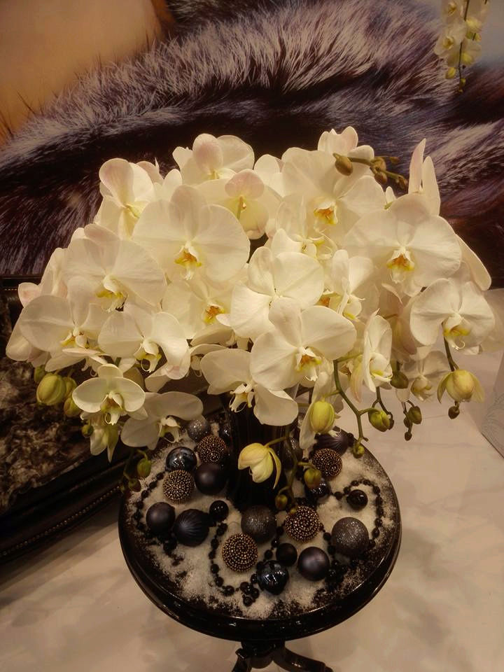 IPM Essen 2016 und Currling orchideen 2016 12191010