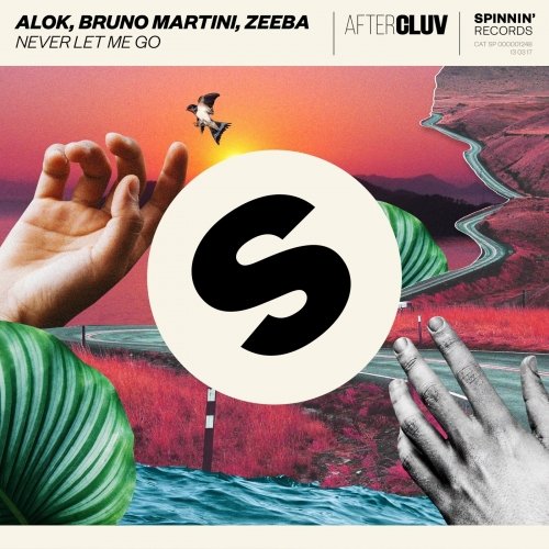 Alok, Bruno Martini & Zeeba - Never Let Me Go (Extended Mix) 15891910