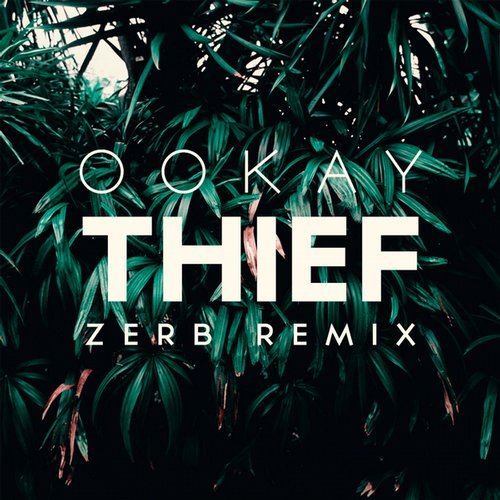 Ookay - Thief (Zerb Remix) 16108011