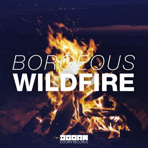 Borgeous - Wildfire (Original Mix) 95231910