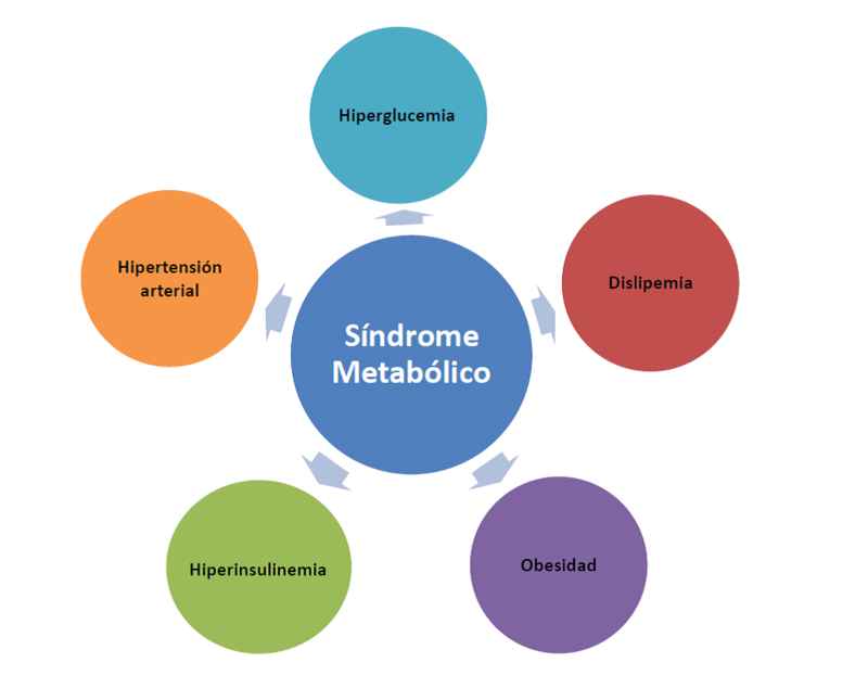 ¿ que es el sindrome metabolico? Forma-10