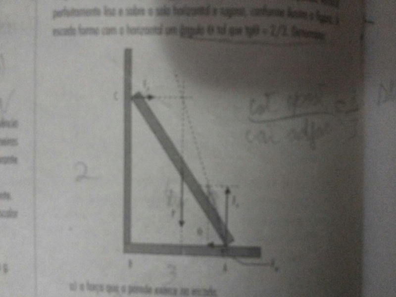 3°lei de Newton Img-2013