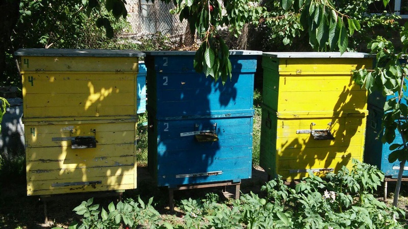 Продам пчелосемьи с ульями Photo_45