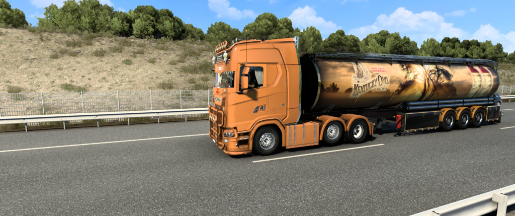 Screenshots - Seite 40 Ets2_196