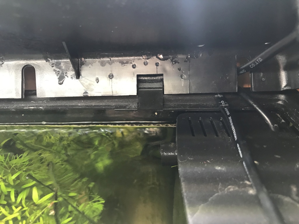 Mon premier aquarium : 60L planté - présentation. - Page 4 0f613210