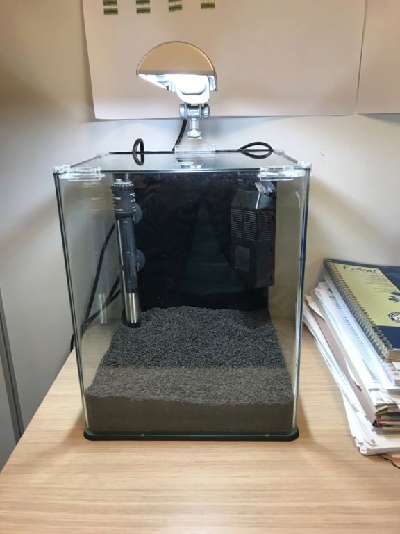 avis Dennerlé Aquarium Nano Cube Basic, 20L - LED, M 2b729a10